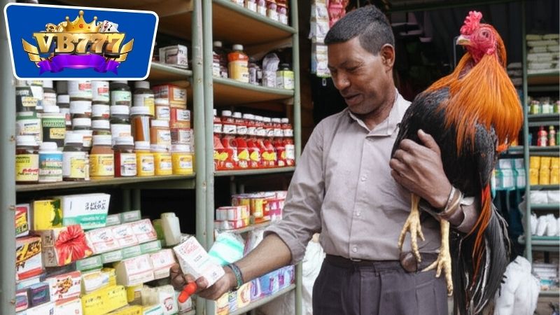Tiêu chí để chọn lựa ra được nơi bán thuốc nuôi gà đá uy tín
