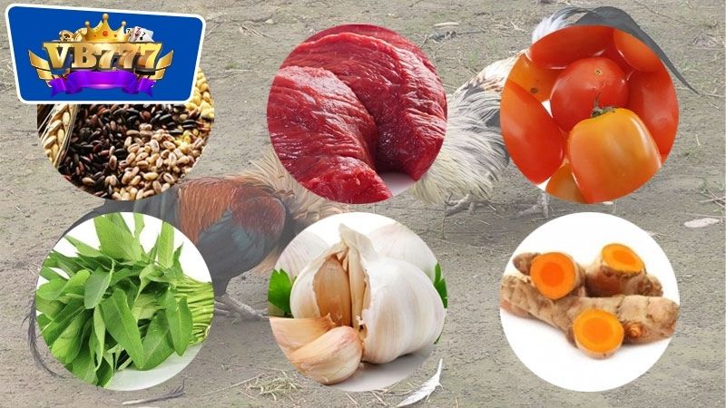 Những thành phần chính có ở trong thực đơn hàng ngày cho gà đá